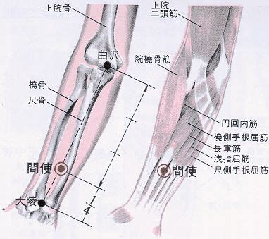 三 穴|醫砭 » 經穴庫 » 三間